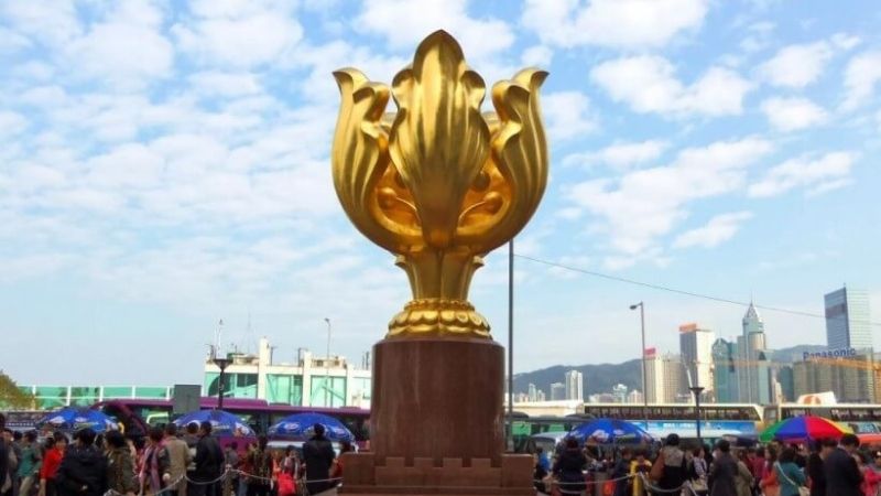 Tượng hoa dương tử kinh ở Quảng trường Golden Bauhinia ở Hong Kong