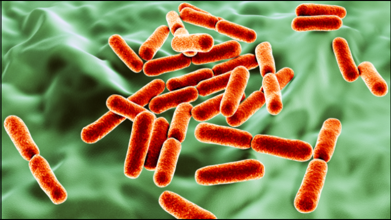 Phụ thuộc là kháng khuẩn chống lại vi khuẩn Helicobacter pylori