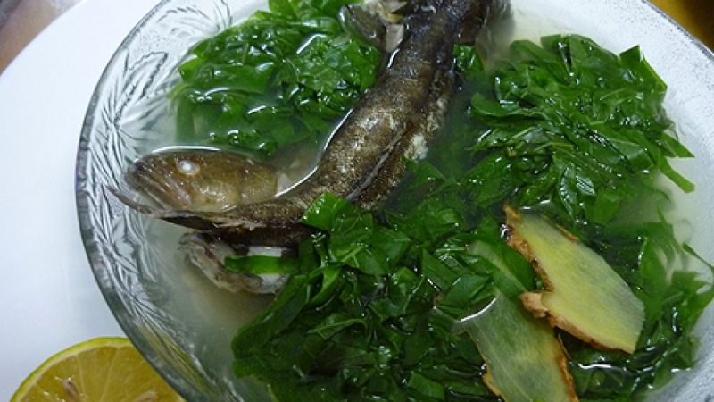 Thử ngay canh cá bớp nấu lá lốt bổ dưỡng ấm bụng cực ngon