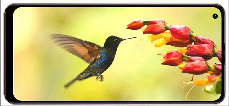 Cấu hình OPPO A96 5G Cấu hình OPPO A96 5G