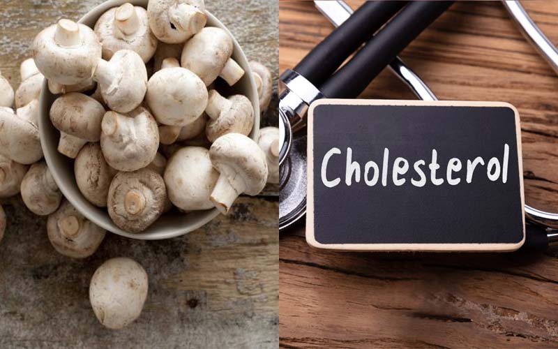 Nấm mỡ giúp giảm cholesterol