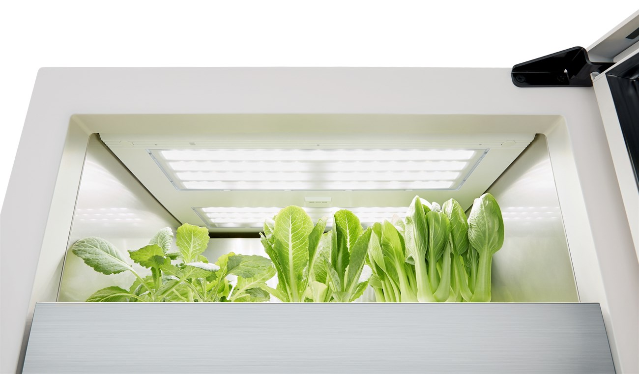 Hệ thống LG Tiiun được bán tại thị trường nội địa với giá khoảng 1.49 triệu won
