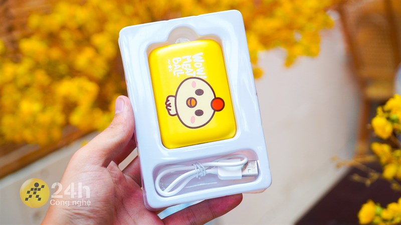 Pin sạc dự phòng 10000mAh Type C PD QC3.0 Hydrus PB299S (Vàng và Hồng)