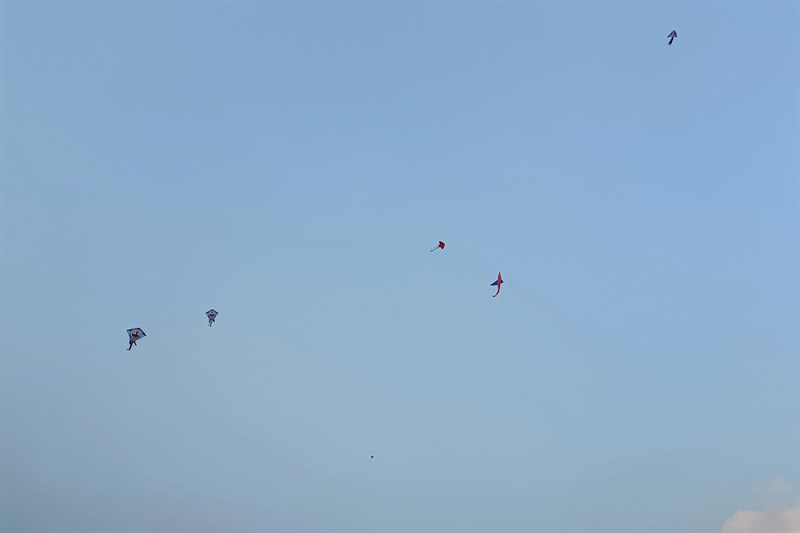 Ảnh chụp từ Vivo V23 5G