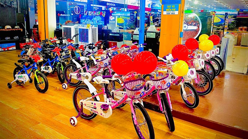 AVACycle