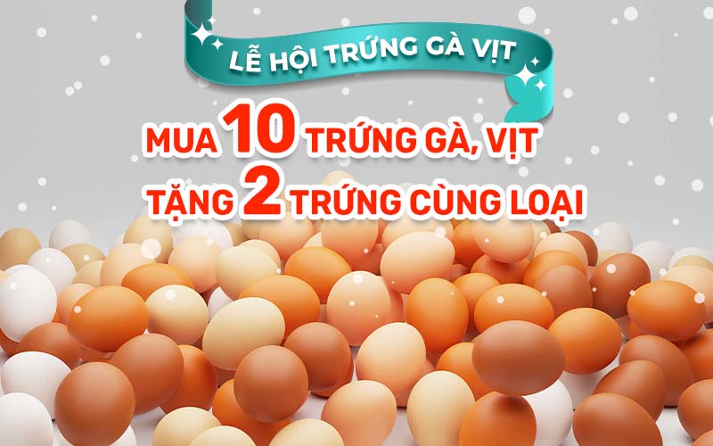 Từ ngày 01/01 đến 31/01, mua 10 tặng 2 khi mua trứng gà – vịt