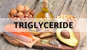 Triglyceride (chất béo trung tính) và chỉ số triglyceride là gì?