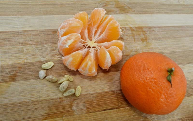 Dùng hạt cam quýt trị ho, giảm đau dạ dày