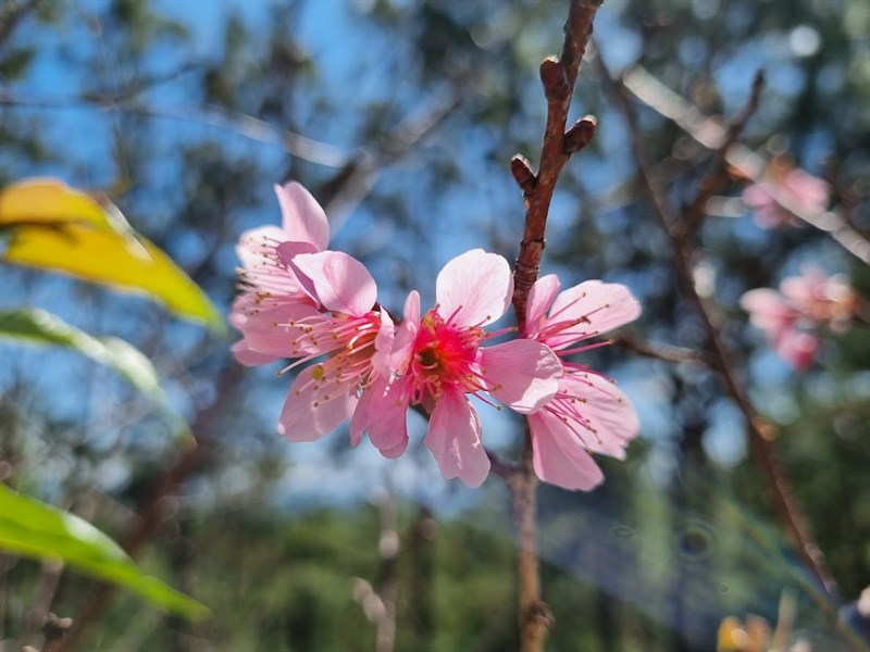 Ảnh chụp từ Galaxy S21 FE 5G Ảnh chụp từ Galaxy S21 FE 5G