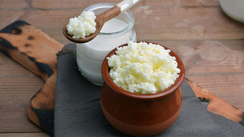 Nấm sữa Kefir