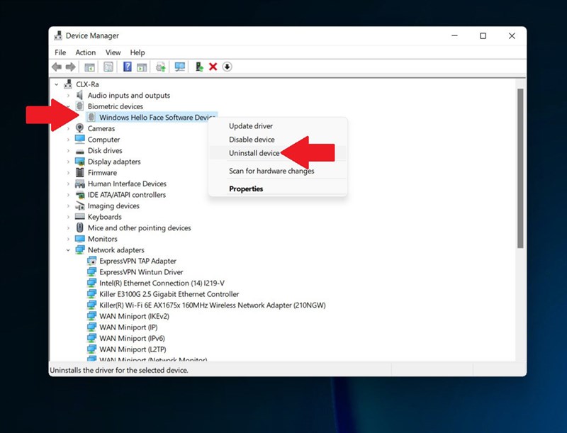 Cách sửa lỗi Windows Hello trong Windows 11 Cách sửa lỗi Windows Hello trong Windows 11