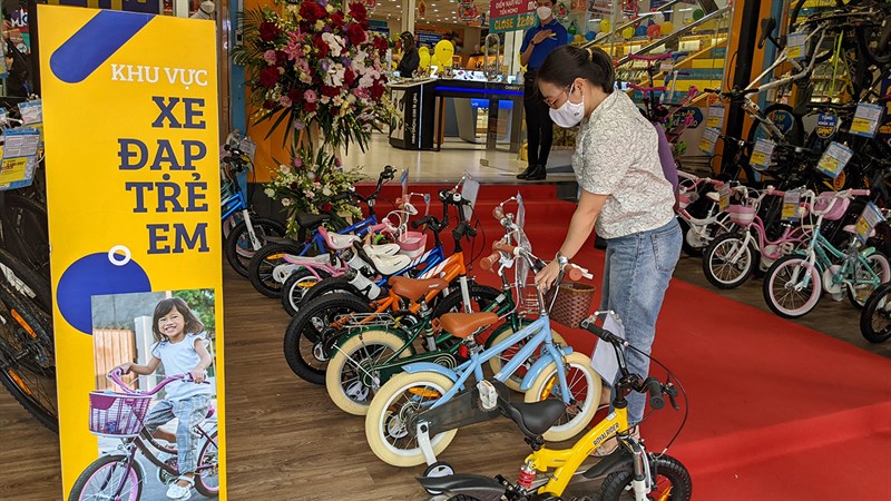 AVACycle
