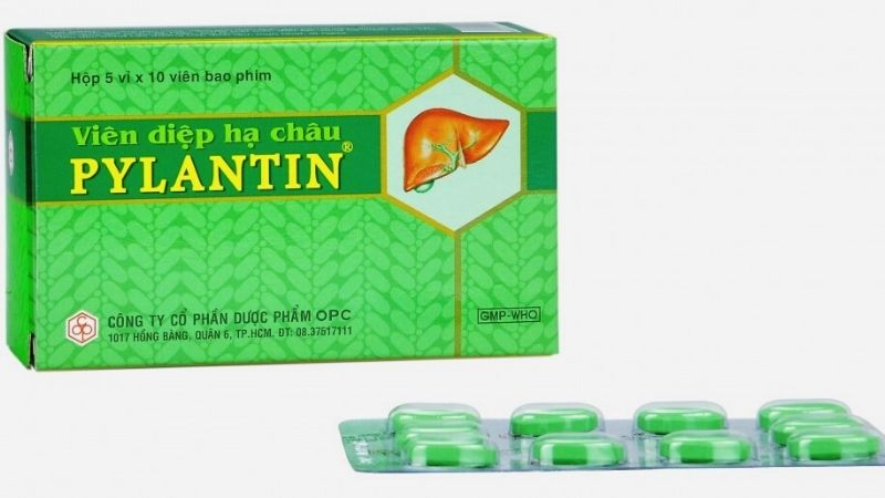 ự kết hợp giữa nền y học cổ truyền dân tộc với công nghệ khoa học hiện đại đã cho ra đời viên diệp hạ châu PYLANTIN.