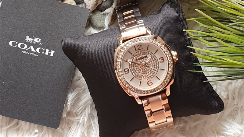 Đồng hồ Coach là một thương hiệu trứ danh và uy tín đến từ Mỹ. Nguồn: Carousell