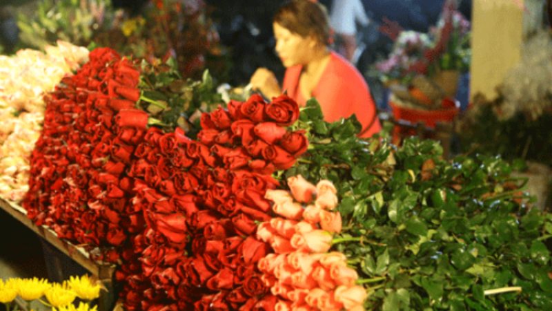 Chợ hoa đêm Mê Linh