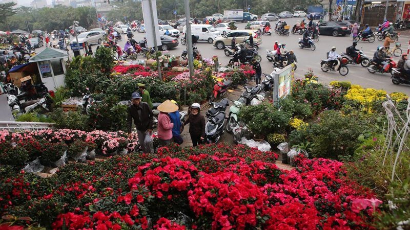 Chợ hoa Lạc Long Quân