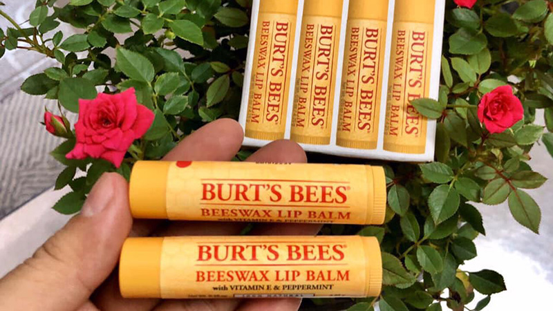 Son dưỡng môi Burt's Bees Moisturizing Lip Balm 100 % Natural