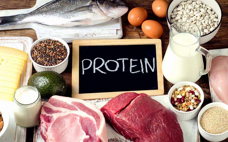 Nguồn cung cấp protein tối ưu