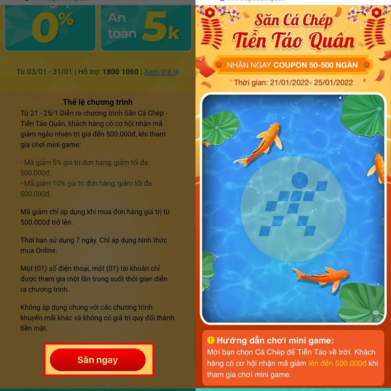 Săn cá chép tiễn Táo Quân