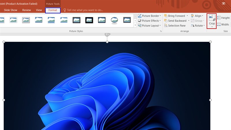 Cách chỉnh sửa hình ảnh cực đẹp trong PowerPoint Cách chỉnh sửa hình ảnh cực đẹp trong PowerPoint