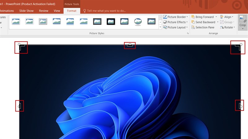 PowerPoint không chỉ dừng lại ở việc tạo slide thuyết trình mà còn có thể chỉnh sửa hình ảnh một cách chuyên nghiệp. Tận dụng ngay tính năng chỉnh sửa hình ảnh trong PowerPoint để mang lại sự mới mẻ và đẹp mắt cho bức ảnh của bạn.