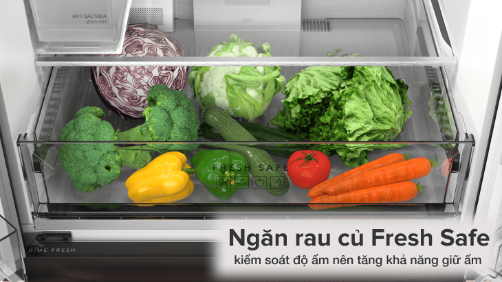 Ngăn rau củ Fresh Safe