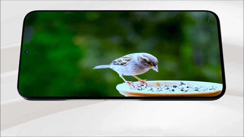 Redmi L19