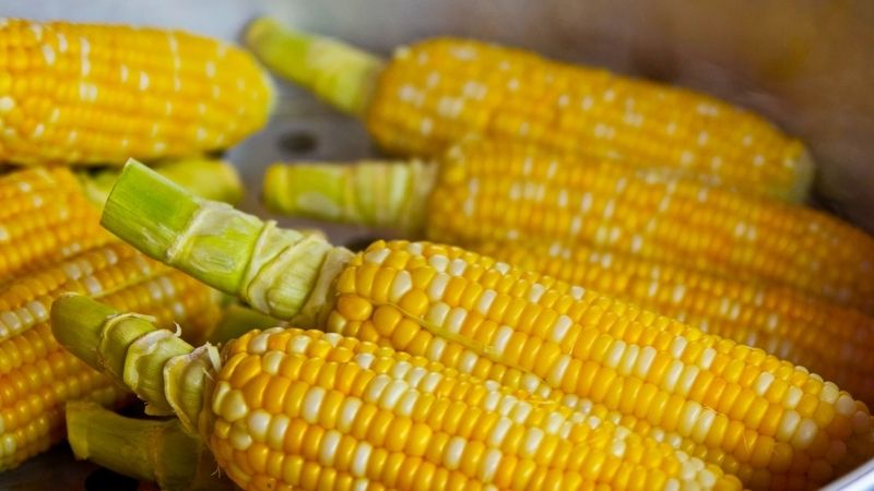 How to make delicious grilled corn with onion fat in an oil-free fryer