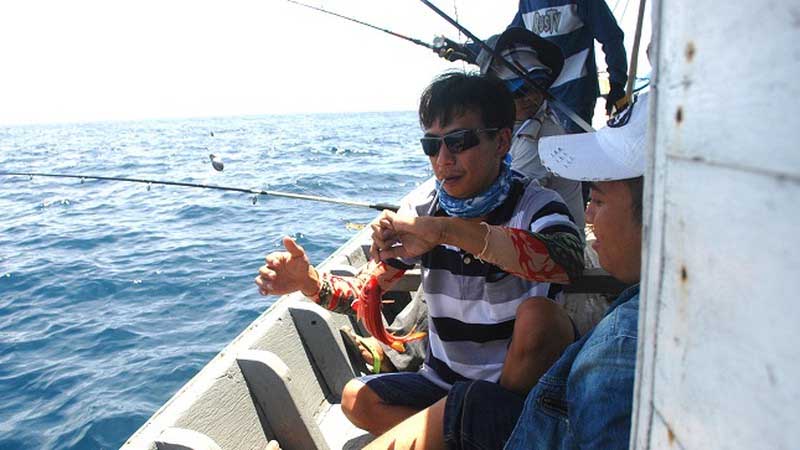 Cá mồi nhử còn được dùng để làm mồi câu cá giải trí