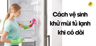 Cách vệ sinh và khử mùi tủ lạnh khi có dòi