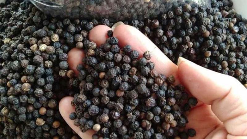 Giá tiêu trong nước Giá tiêu trong nước