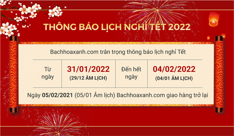 Thông báo nghỉ Tết Nhâm Dần - Bách hóa XANH 2022