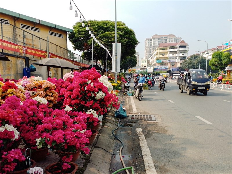 Ảnh chụp từ Galaxy A03