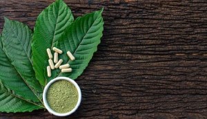 Trà Kratom là gì? Có lợi hay hại đối với sức khỏe?