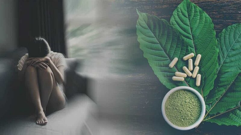 Dùng trên 15g thì trà Kratom sẽ như một chất gây nghiện