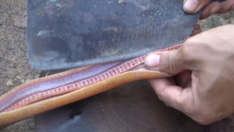 Xẻ dọc hai bên xương sống lươn