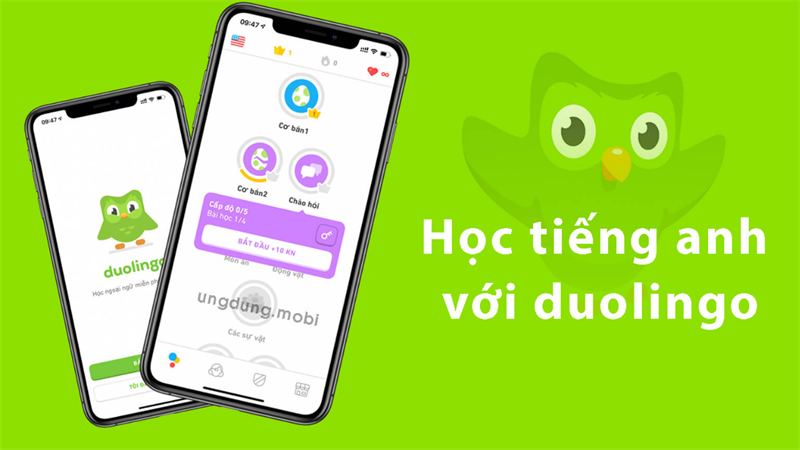 Giao diện Duolingo - Ứng dụng học ngoại ngữ miễn phí cho mọi lứa tuổi