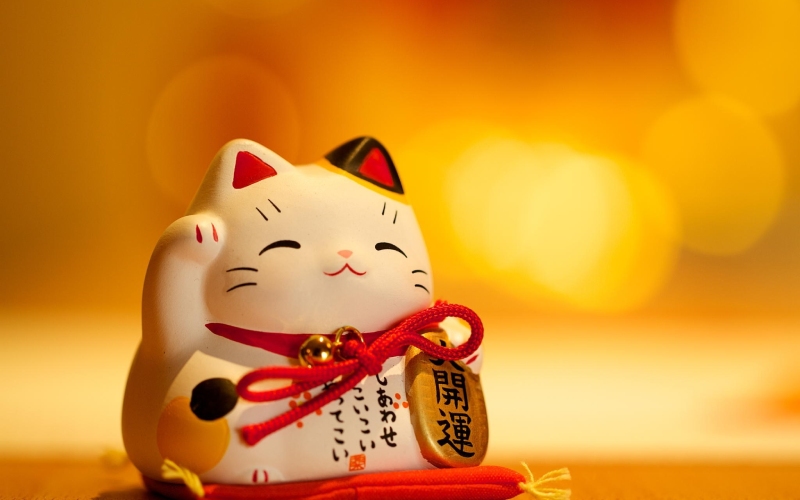 Lucky cat wallpaper