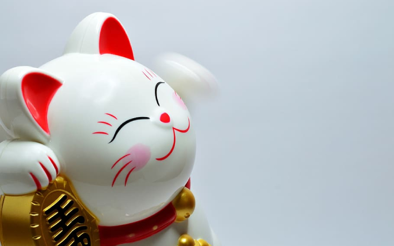 Lucky Cat Image