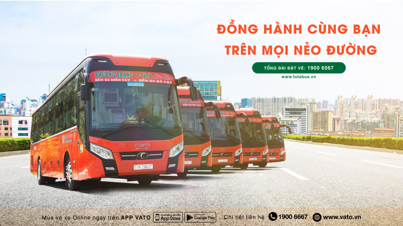 Cách đặt vé xe Phương Trang online đơn giản, nhanh chóng nhất