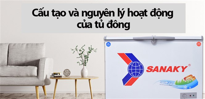 Cấu tạo và nguyên lý hoạt động của tủ đông có thể bạn chưa biết