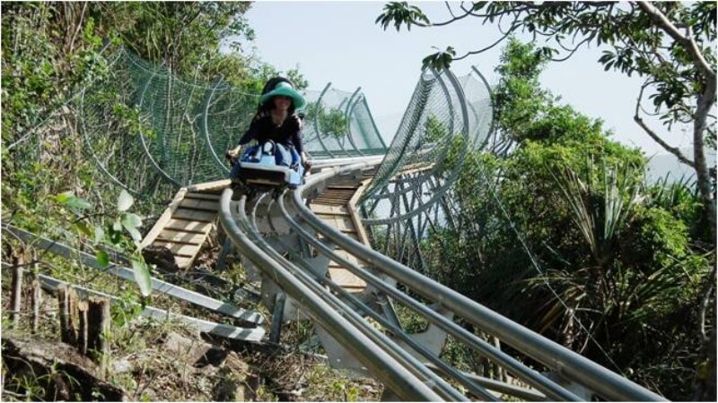 Trượt ván Alpine Coaster