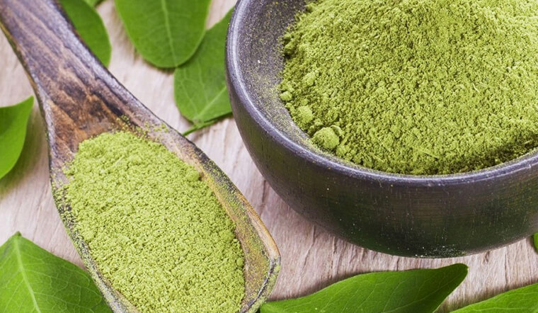 Moringa (chiết xuất chùm ngây) là gì? Có tác dụng gì với làn da?