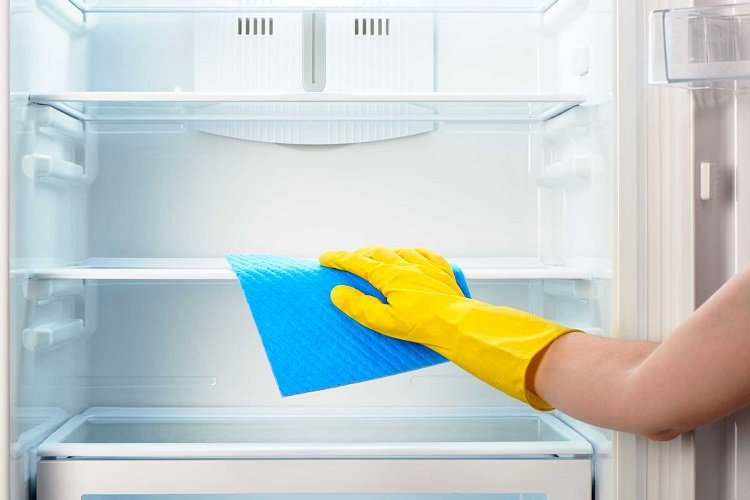 Hướng dẫn cách vệ sinh tủ lạnh bị mốc dễ dàng