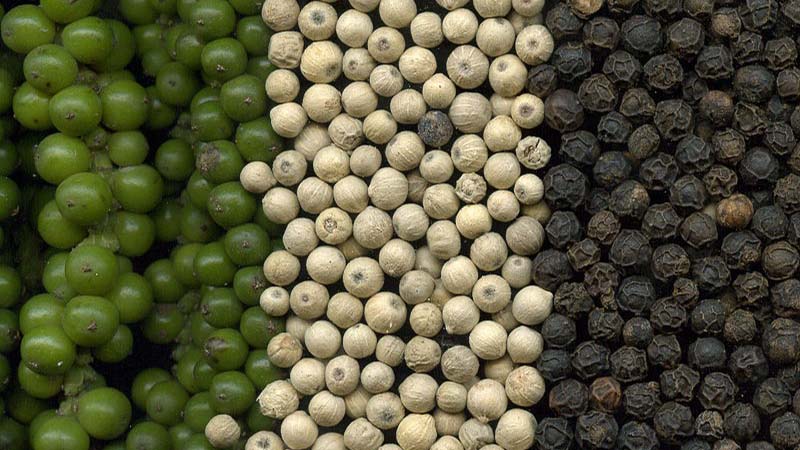 Giá tiêu thế giới