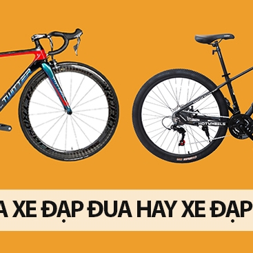 Nên mua xe đạp Road (Xe đạp đua) hay MTB (Xe đạp địa hình)?