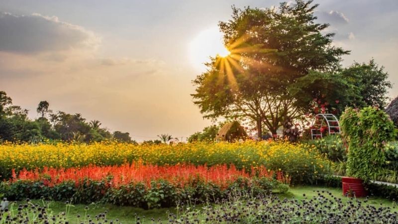 Một cánh đồng hoa sống ảo rực rỡ đầy sắc màu đang chờ đón bạn trong bức ảnh này. Hãy mơ mộng và cùng khám phá những góc ảnh đẹp nhất của cánh đồng này với những bông hoa lung linh và đầy sức sống.