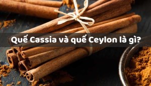 Quế Cassia và quế Ceylon là gì? Lợi ích và sự khác biệt