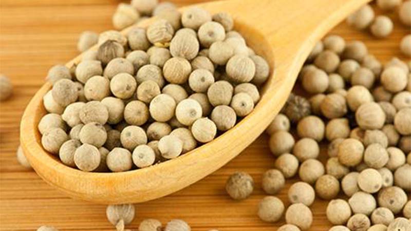 Giá tiêu hôm nay 11/2/2022 trong nước Giá tiêu hôm nay 11/2/2022 trong nước