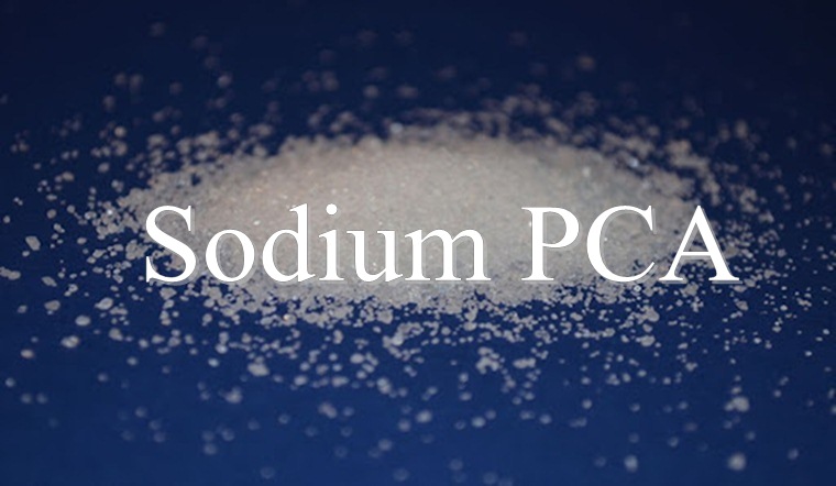 Sodium PCA - thành phần thường thấy trong các loại mỹ phẩm là gì?